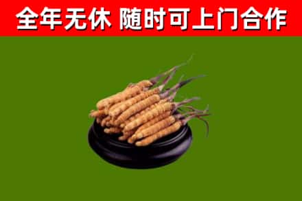 泽库县烟酒回收冬虫夏草.jpg